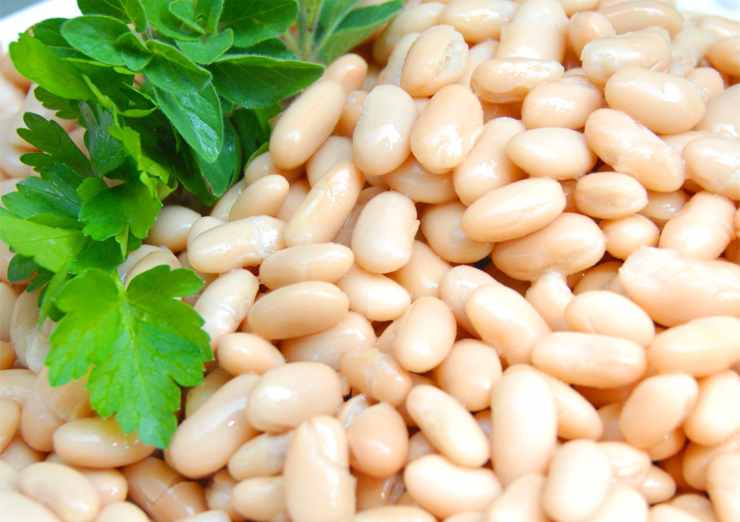 Iniziate lessando i fagioli dopo averli tenuti in ammollo per almeno 8/10 ore. Versateli in una pentola, ricoprite con acqua e portate a bollore, quindi proseguite la cottura per circa 30/35 minuti a fuoco dolce fino a che saranno morbidi, ma senza sfaldarsi. Scaldate un filo d’olio in una casseruola capiente ed unite gli spicchi d’aglio schiacciati e la salvia.