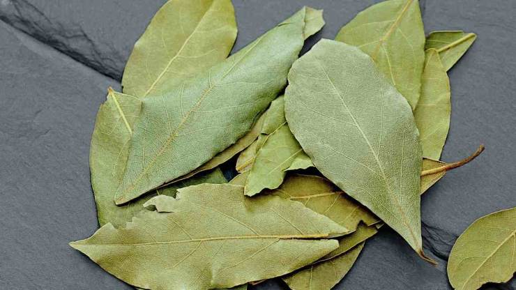 legumi digeribili subito ricette.com