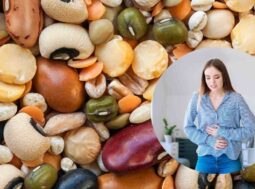 legumi digeribili subito ricette.com legumi digeribili subito ricette.com