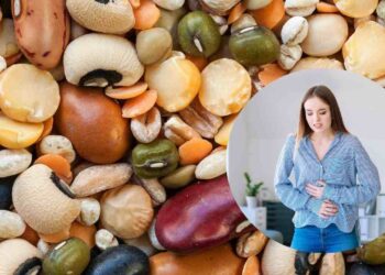 legumi digeribili subito ricette.com legumi digeribili subito ricette.com