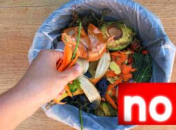 mai buttare questa parte è un toccasana ricette.com mai buttare questa parte è un toccasana ricette.com