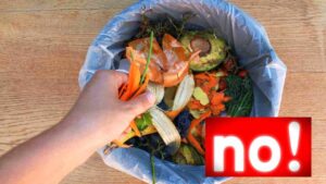 mai buttare questa parte è un toccasana ricette.com