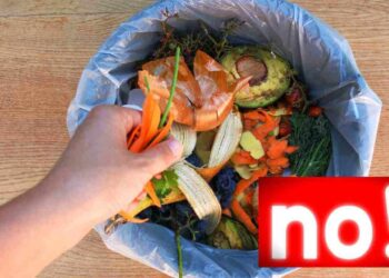 mai buttare questa parte è un toccasana ricette.com mai buttare questa parte è un toccasana ricette.com