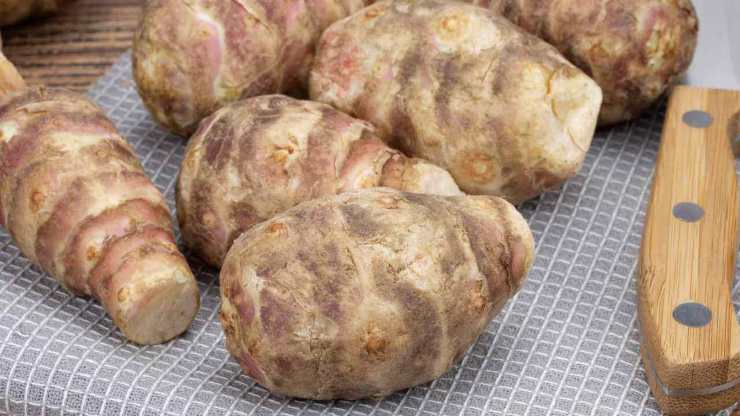 mangiare e dimagrire è possibile se usi questo ricette.com