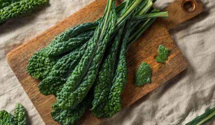 Unite le patate, i fagiolini, la zucca, la zucchina ed il cavolo tagliato a striscioline. Mescolate bene e lasciate stufare per 5 minuti, quindi aggiungete i pelati schiacciati ed amalgamate per far insaporire bene il tutto. A questo punto coprite le verdure con il brodo già caldo e portate a bollore. Abbassate la fiamma, coprite lasciando uno spiraglio aperto e fate cuocere dolcemente per circa 45 minuti, mescolando ogni tanto.