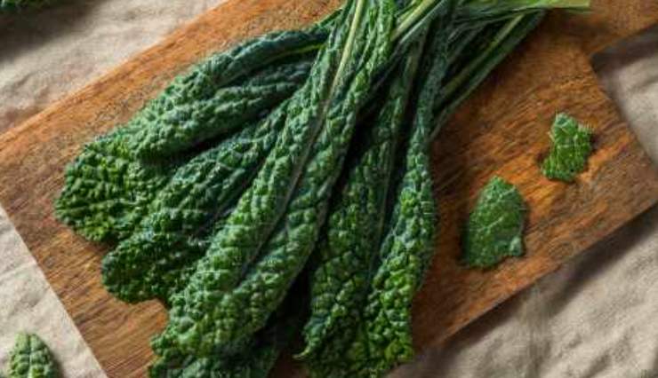 Contemporaneamente mettete sul fuoco una pentola con abbondante acqua salata per la pasta e portatela a bollore. Controllate il cavolo, coprite con il coperchio e proseguite a stufarlo per pochi minuti fino a che risulterà tenero. Appena l’acqua per la pasta giungerà a bollore, versate il formato scelto e scolate leggermente al dente mettendo da parte un po’ di liquido di cottura.