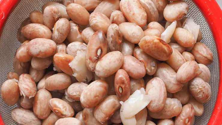 Distribuiteli su un canovaccio spolverizzato di farina senza sovrapporli e preparate il sugo: in una casseruola scaldate un filo d’olio e fate rosolare la pancetta con la cipolla tritata e l’aglio. Quando sarà dorata, unite la passata di pomodoro e, se volete, un cucchiaino di concentrato. Aggiungete i fagioli già lessati, un mestolo della loro acqua di cottura e lasciate cuocere per circa mezz’ora a fuoco dolce.