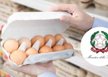 richiamo ministero 18 novembre 2025 ricette.com (2) richiamo ministero 18 novembre 2025 ricette.com