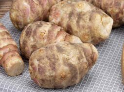 topinambur ricette sapore come usarlo per dimagrire ricette.com topinambur ricette sapore come usarlo per dimagrire ricette.com