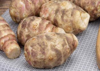 topinambur ricette sapore come usarlo per dimagrire ricette.com topinambur ricette sapore come usarlo per dimagrire ricette.com