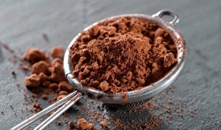 Mettete in frigo per una ventina di minuti in modo da far rassodare leggermente, poi riprendete la base ormai fredda e stendete la crema creando uno strato alto e regolare. Se volete potete aiutarvi con uno stampo a cerniera foderato con la pellicola per alimenti in modo da assemblare la torta con precisione. Lasciate riposare in frigo per almeno 2 ore: prima di servire, sformatela con delicatezza e spolverate generosamente con cacao amaro.