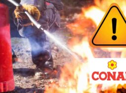 allarme sicurezza conad ricette.com (1) allarme sicurezza conad ricette.com