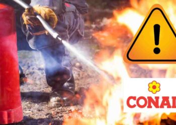 allarme sicurezza conad ricette.com (1) allarme sicurezza conad ricette.com