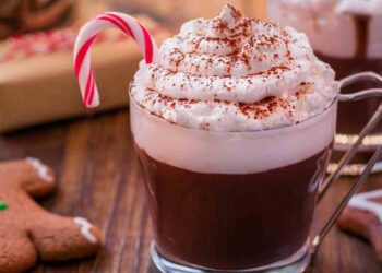 cioccolata calda solo 2 ingredienti ricette.com