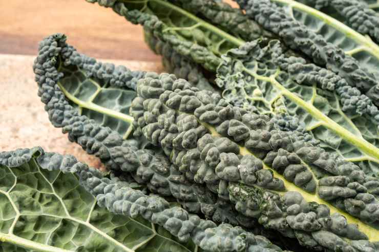 Scegli 8 foglie integre di cavolo nero senza ammaccature, lavale bene ed immergile in una pentola d’acqua bollente per 8-10 minuti. Una volta pronte, scolale e mettile ad asciugare su uno strofinaccio pulito.
