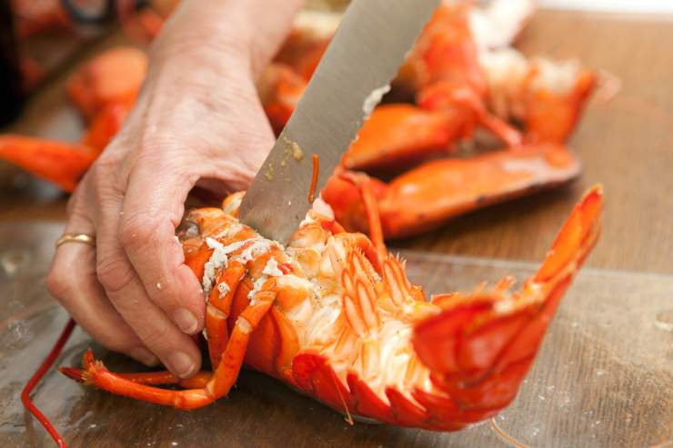 Per prima cosa, dividi gli astici a metà con una forbice, tagliando nel senso della lunghezza. Pulisci le interiora e metti a scaldare sul fuoco una padella con un giro d’olio extravergine d’oliva con uno spicchio d’aglio e del peperoncino fresco sminuzzato. Dopo qualche istante, aggiungi gli astici porzionati e falli insaporire ben bene.