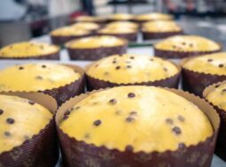 panettone migliore del mondo dove comprarlo ricette.com