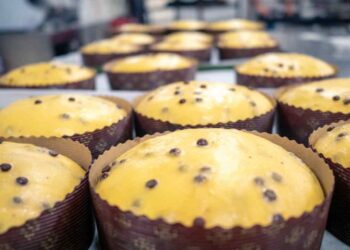 panettone migliore del mondo dove comprarlo ricette.com