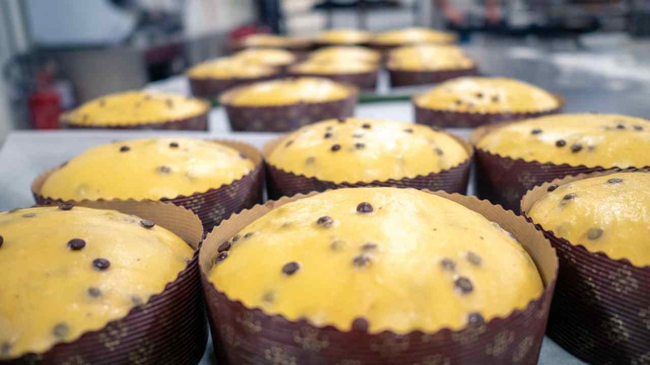 panettone migliore del mondo dove comprarlo ricette.com