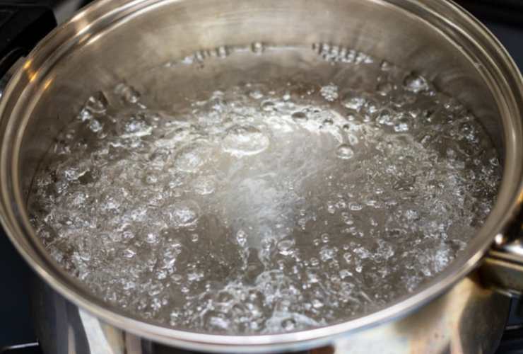 Intanto portiamo sul fuoco una pentola con l’acqua: servirà per il bollo ai cannelloni, saliamo e caliamo quando è il momento. Sgoccioliamo i cannelloni appena inteneriti;