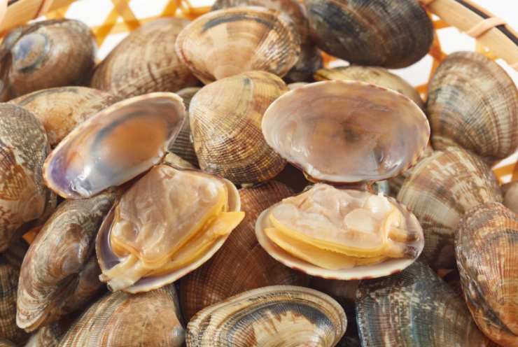 Iniziamo col pulire le vongole: scartiamo quelle rotte e vuote e sbattiamo le altre su una superficie dura, come un tagliere, per fare in modo che quelle con eventuale sabbia si aprano. Riversiamo in un tegame capiente e riempiamo di acqua, sciacquandole, quindi uniamo una manciata di sale grosso;