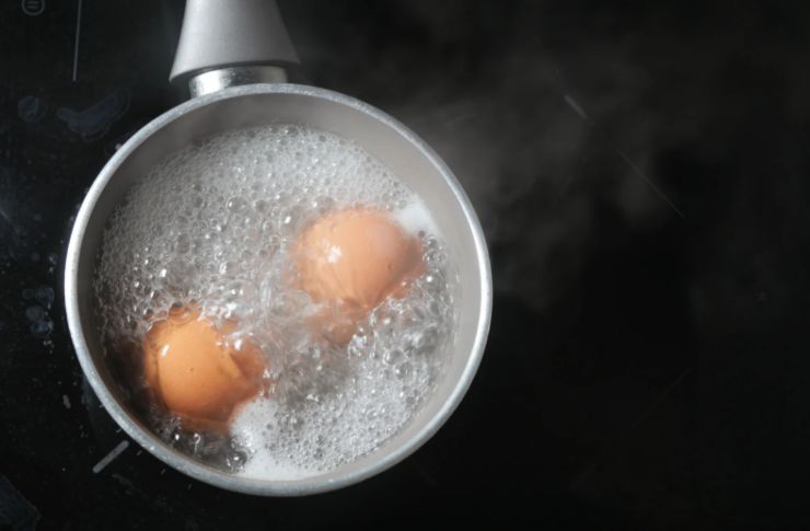 La prima cosa che dobbiamo fare è andare a immergere le uova in acqua in un tegame e portare sul fuoco. Lasciamole cuocere fino a quando non saranno sode e poi scoliamole, spostandole in un recipiente con acqua fredda;