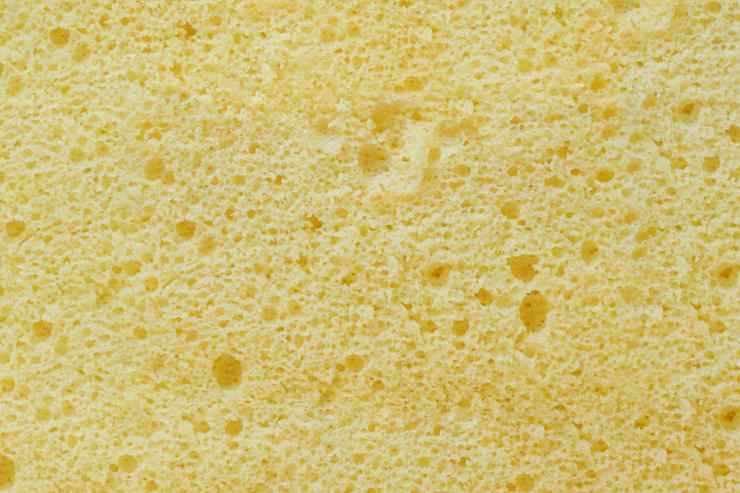 Rivesti una teglia grande 35×35 cm con un pezzo di carta da forno e versaci sopra l’impasto. Livella con una spatola in silicone ed inforna in forno preriscaldato statico a 190 gradi per 7 minuti. Trascorso il tempo necessario, sforna la base, coprila con un canovaccio pulito e lasciala raffreddare. Infine, capovolgila su un altro telo pulito e staccala delicatamente dalla carta da forno.