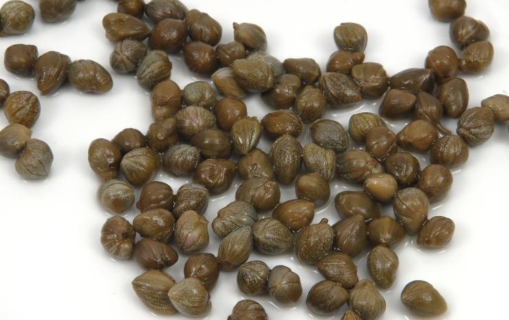 Affettate il vitello sottilmente una volta completamente freddo, disponete le fette su un piatto leggermente sovrapposte e coprite con la salsa tonnata, senza esagerare. Guarnite con qualche cappero dissalato, mettete a riposare almeno un’ora in frigo prima di servire e buon appetito!