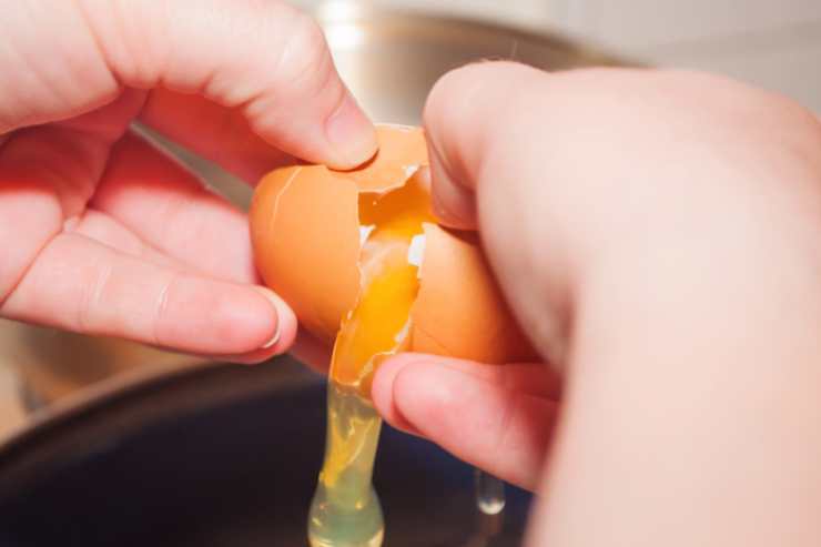 Pronti gli spaghetti andrete a scolarli e sgocciolarli, li riverserete in una ciotola e condirete con sugo di pomodoro quanto basta. Mentre gli spaghetti si raffreddano andremo a rompere le uova in una ciotola e le lavoreremo con il latte e il parmigiano grattugiato. Insaporiremo con sale e pepe e mescoleremo per bene;