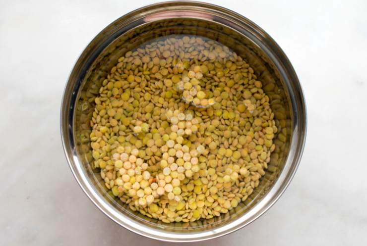 Iniziamo andando a sciacquare le lenticchie, quindi riversiamole in un tegame, ricopriamole di acqua e sbollentiamo sul fuoco per circa mezz’ora fino a intenerirle;