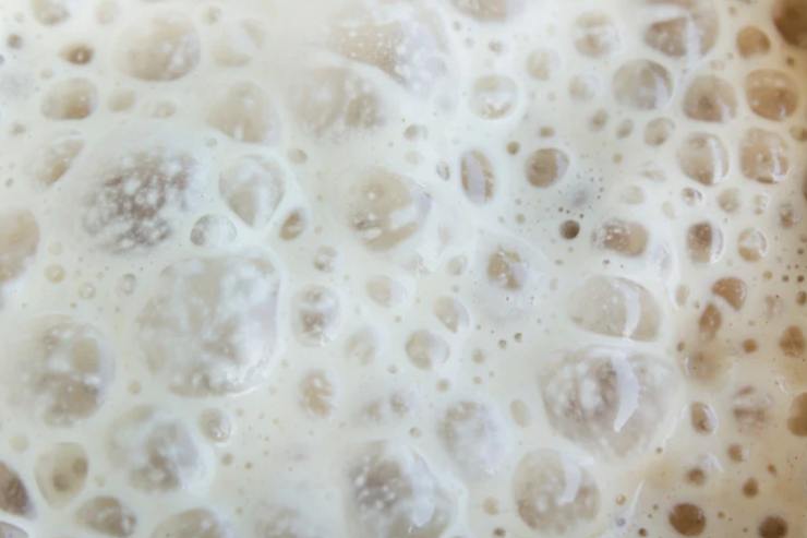 In un recipiente versiamo l’acqua a temperatura o leggermente scaldata e sciogliamo il lievito. Uniamo nell’acqua anche lo zucchero e mescoliamo fino a sciogliere;