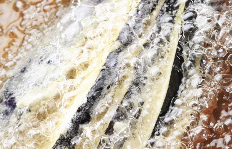 Passiamo alla cottura: possiamo scegliere di friggere o arrostire le melanzane. Nel primo caso scaldiamo l’olio per friggere in una padella antiaderente e una volta caldo immergiamo le melanzane. Nel secondo grigliamo melanzane da entrambi i lati finché non risultano tenere e dorate;