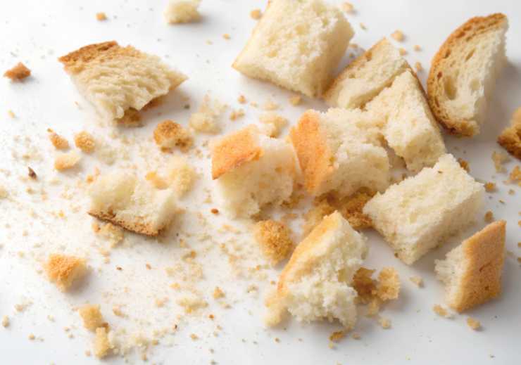 Iniziamo andando a sbriciolare la mollica di pane in una ciotola e uniamo un po’ di acqua o latte per ammollarla;
