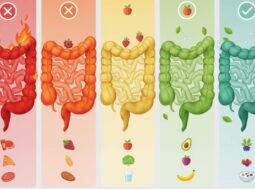 Infografica protocollo 7 giorni per il reset intestinale: transizione da intestino infiammato rosso a sano verde