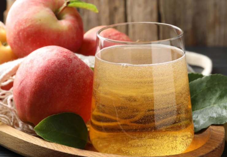 Quando le mele saranno tenere andiamo a frullare con un frullino a immersione e spegniamo la fiamma. Filtriamo il composto ottenuto in una caraffa e lasciamo intiepidire. Se vogliamo gustarlo freddo lasciamo raffreddare del tutto a temperatura ambiente e poi andiamo a sistemare in frigorifero. Facciamo raffreddare per una mezz’ora e poi serviamo