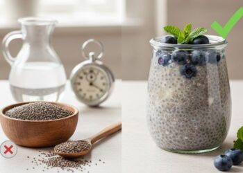 Confronto tra semi di chia secchi e ammollo corretto con un segreto da scoprire per la salute intestinale