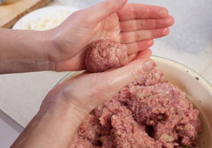 Accorpiamo adesso il sale, il pepe e gli aromi che preferiamo e spolveriamo il pangrattato per ottenere una consistenza compatta e appiccicosa. Formiamo delle palline con le mani, staccando dei pezzetti e rotoliamole nel pangrattato. Adagiamo in una teglia da forno foderata;