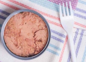 Una forchetta solleva un pezzo di tonno da una scatoletta di latta aperta, accanto a un vasetto di vetro con filetti di tonno compatti in olio.