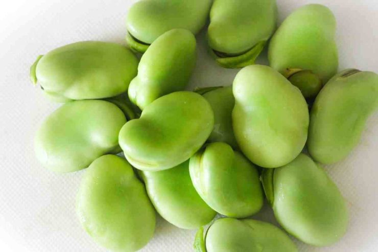 Unite i carciofi ben scolati e fateli insaporire per 5 minuti, poi sfumate con il vino bianco e lasciate evaporare. A questo punto versate prima le fave e dopo 5 minuti i pisellini: coprite con un coperchio e lasciate cuocere. Se il fondo dovesse asciugarsi troppo, aggiungete un mestolo di acqua calda. Fate cuocere per circa 15/20 minuti a fuoco dolce.