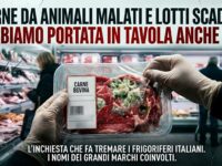 Inchiesta Report: mani con guanti tengono confezione di carne bovina con muffa e segni di deterioramento in un supermercato.