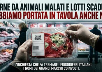 Inchiesta Report: mani con guanti tengono confezione di carne bovina con muffa e segni di deterioramento in un supermercato.