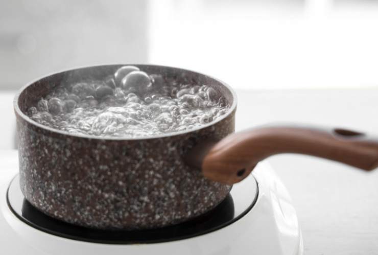 Portiamo sul fuoco una pentola con acqua per cuocere la pasta e appena a bollore saliamo e caliamo il formato scelto. Intanto, se i funghi sono ormai teneri, riversiamoli in un frullatore e riduciamo in crema;