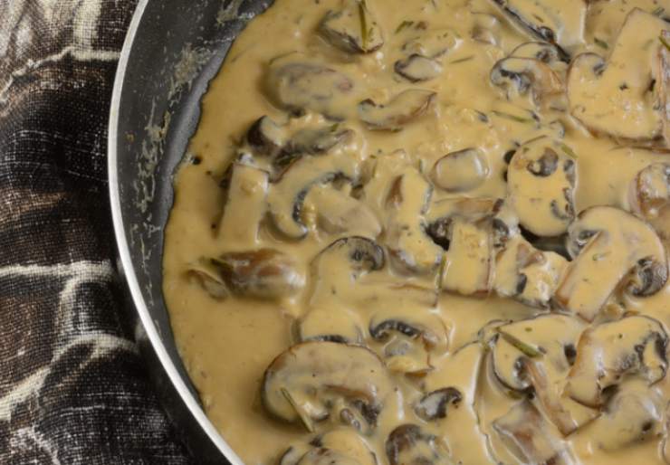 Riportiamo la crema in padella e uniamo la panna da cucina, quindi mescoliamo dopo aver condito con sale, pepe e parmigiano grattugiato. In una padella a parte rosoliamo lo speck sminuzzato con un goccio d’olio d’oliva e poi uniamolo alla crema di panna e funghi. Intanto scoliamo la pasta;