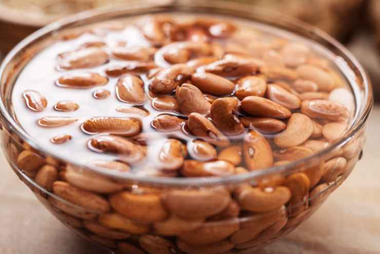 La sera prima mettiamo i fagioli in ammollo in acqua. Al momento di procedere scoliamoli, sgoccioliamoli e riversiamo in un tegame che copriremo con altra acqua. Portiamo sul fuoco e cuociamo per una mezz’ora, anche quaranta minuti;