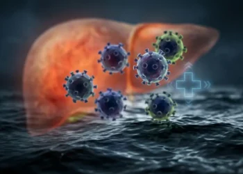 virus-epatite-a-fegato-contaminazione-acqua Rappresentazione concettuale del virus dell'epatite A che fluttua in acque contaminate con fegato infiammato in sottofondo.