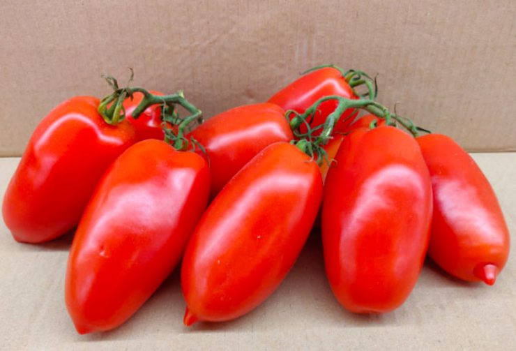 Lavate i pomodori e tagliateli a metà. Disponeteli su una teglia foderata con carta forno con la parte tagliata rivolta verso l’alto ed aggiungete gli spicchi d’aglio schiacciati, una pioggia di origano, sale, un pizzico di zucchero ed un giro d’olio extra vergine d’oliva abbondante.