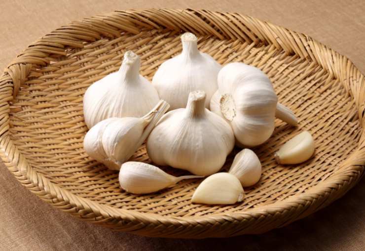 La prima cosa da fare è portare sul fuoco la pentola con l’acqua per cuocere la pasta. Andremo poi a riversare i pelati in una ciotola e a schiacciarli con una forchetta. Intanto rosoleremo un filo d’olio con uno spicchio d’aglio in un tegame;