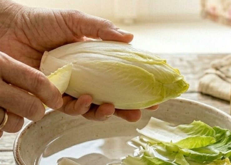 Eliminate le prime foglie esterne dell’indivia se rovinate, poi tagliate i cespi a metà nel senso della lunghezza, mantenendo la base attaccata in modo che non si sfaldino. In una padella ampia sciogliete il burro con un filo d’olio extra vergine d’oliva, poi adagiate l’indivia con la parte tagliata verso il basso.