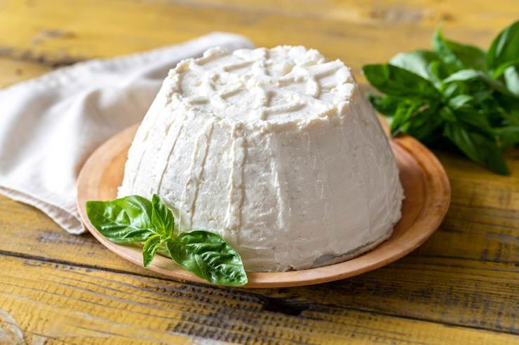 A questo punto in una ciotola unite le zucchine strizzate, la ricotta ben asciutta, l’uovo, il parmigiano ed il basilico tritato finemente. Mescolate bene ed aggiungete il pangrattato poco alla volta: l’impasto deve restare morbido, ma lavorabile con le mani appena unte d’olio. Se è troppo appiccicoso, aggiungete un altro cucchiaio di pangrattato.