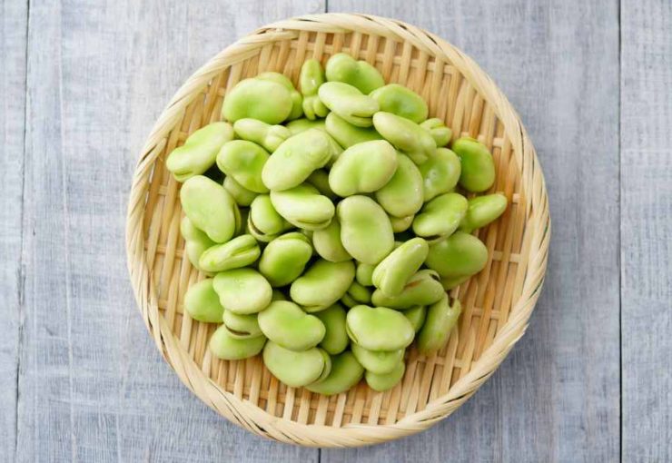 Sbollentate le fave per 3 minuti in acqua bollente, scolatele e togliete la buccia esterna (quella chiara). Frullatene la metà con un mestolo di brodo caldo finché otterrete una crema liscia. In una padella fredda, mettete il guanciale tagliato a listarelle: accendete il fuoco e lasciate che il grasso si sciolga e la carne diventi croccante, quindi tenetelo da parte.